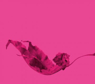 رهایی از افسانه زندگی بی عیب و نقص