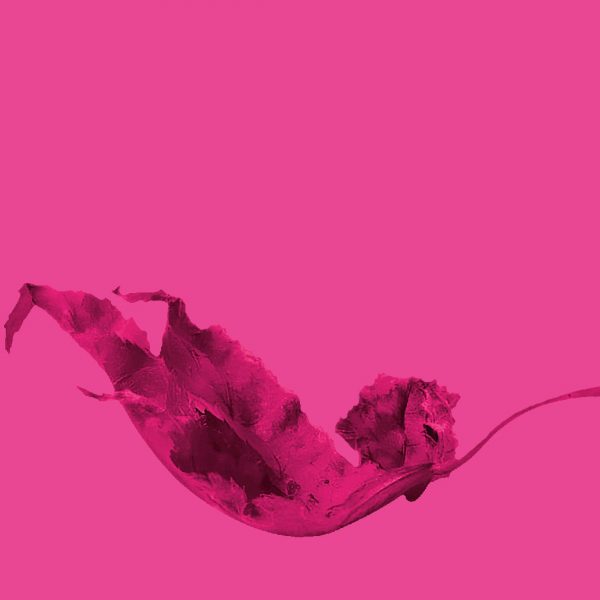 رهایی از افسانه زندگی بی عیب و نقص